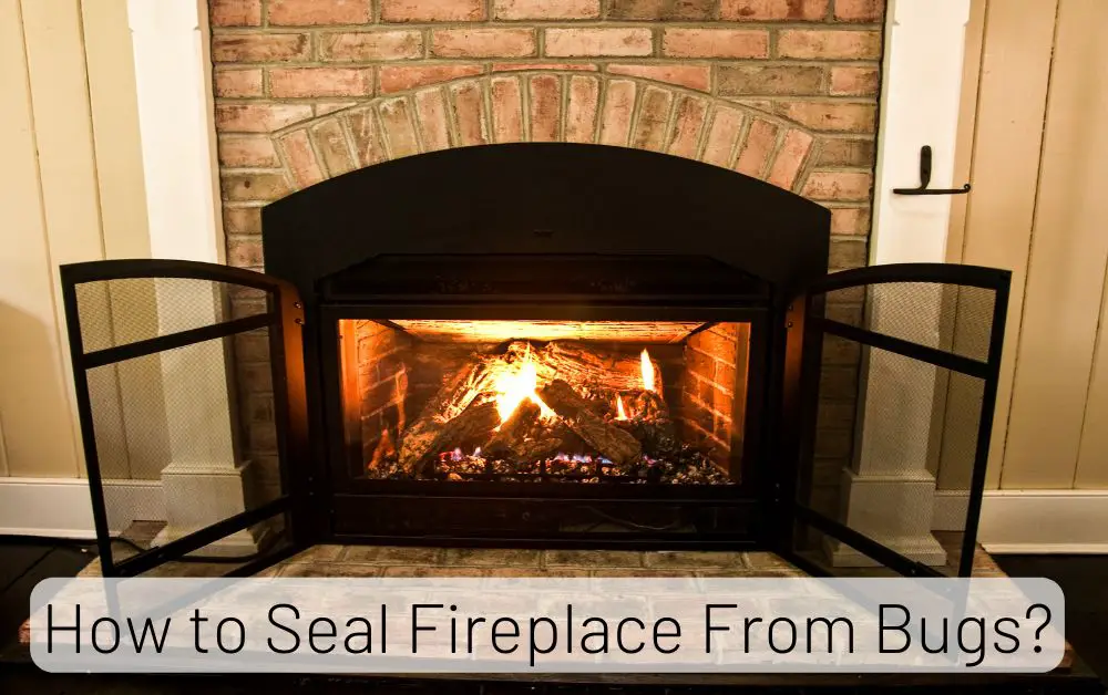 How to Seal Fireplace From Bugs
