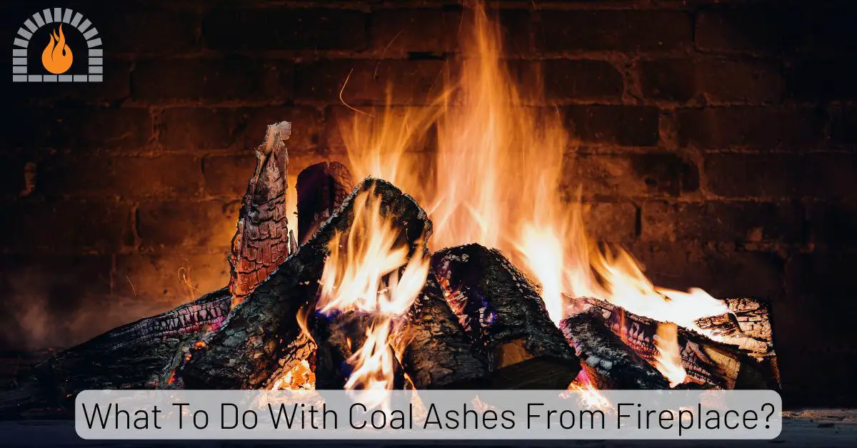 What To Do With Coal Ashes From Fireplace? 7 Creative Uses Explained