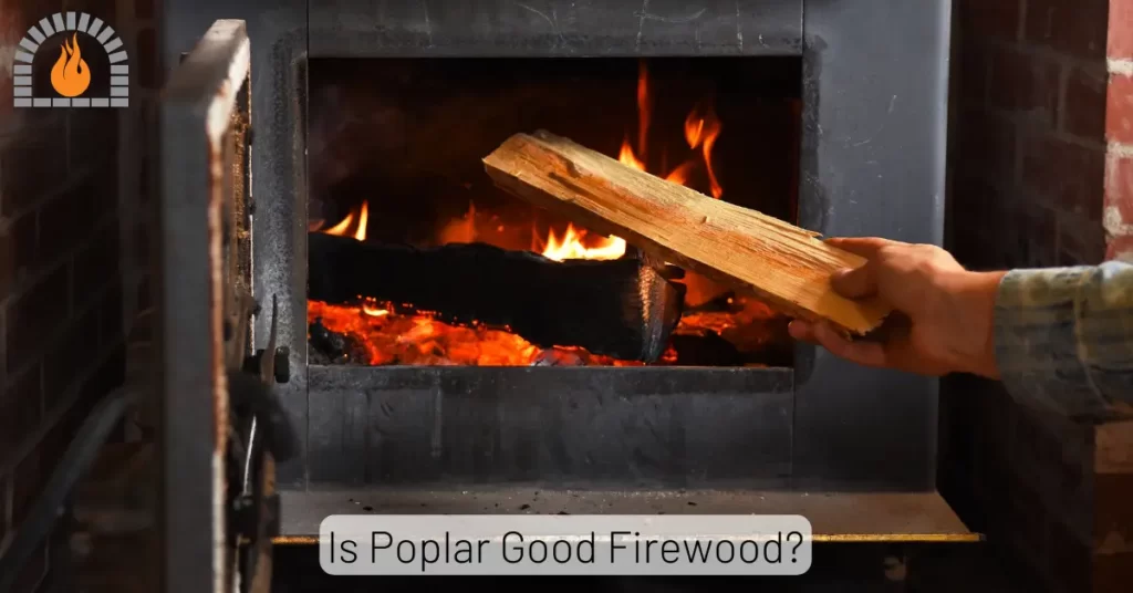 Is Poplar Good Firewood