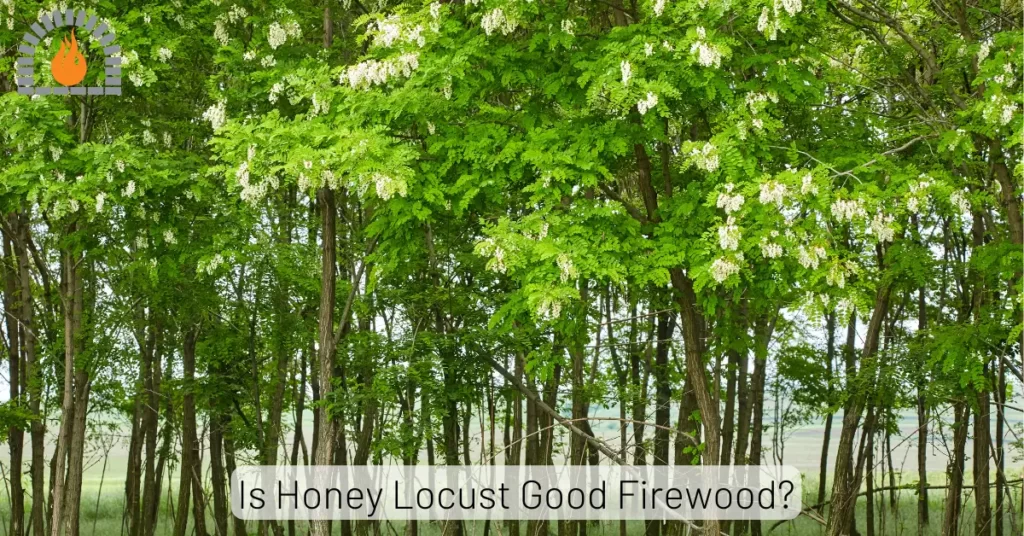 Is Honey Locust Good Firewood