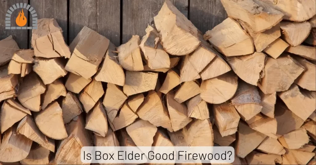Is Box Elder Good Firewood