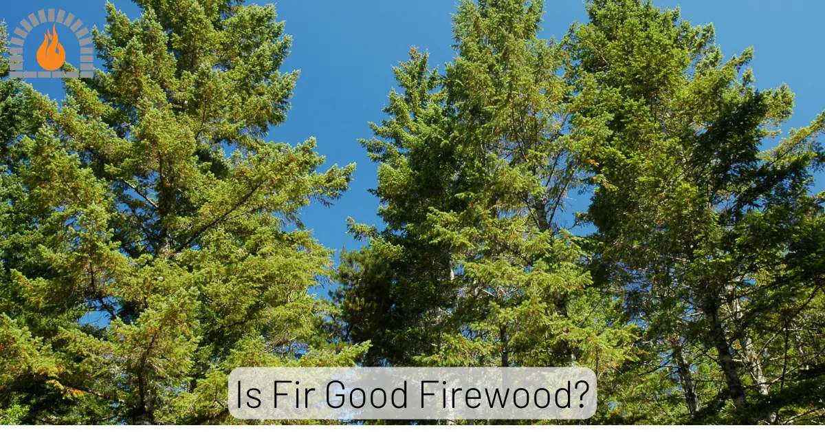 Is Fir Good Firewood? Exploring the Pros and Cons