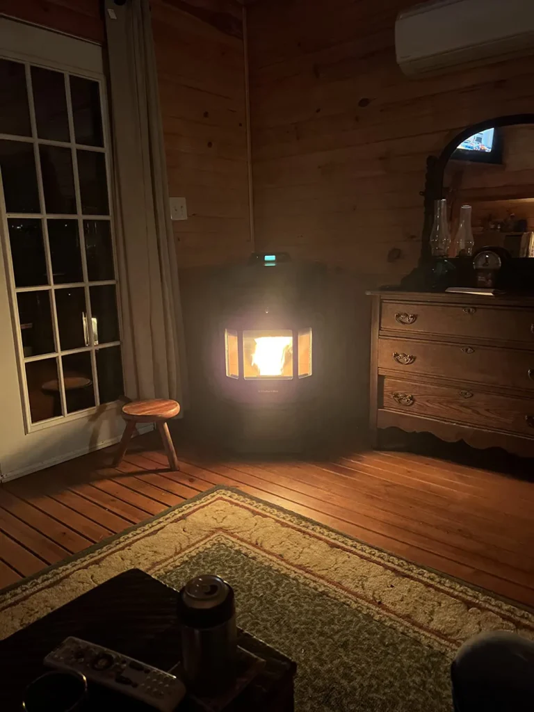 Pellet wood stove