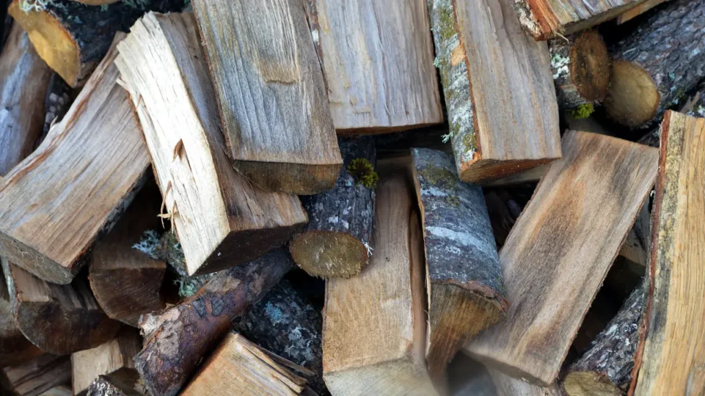 Uncured Firewood