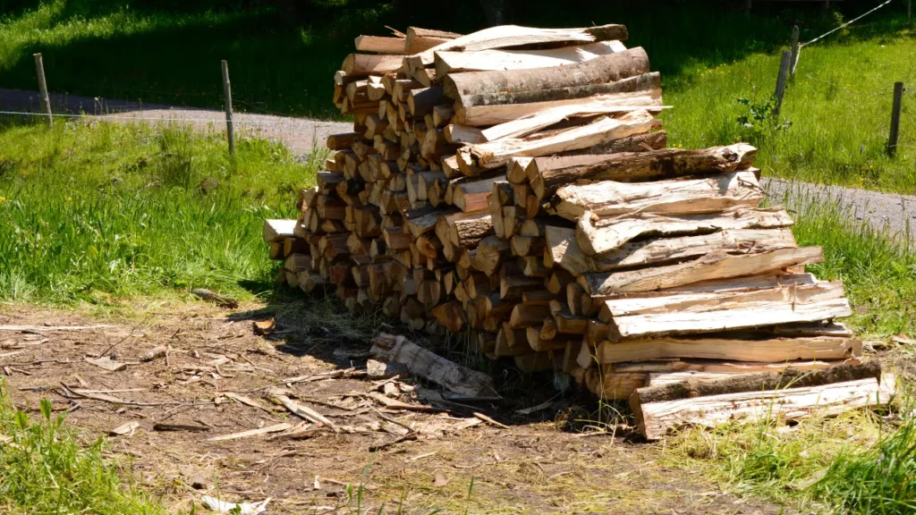 Firewood That Got Rained On