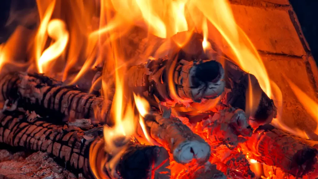 Is Cottonwood Good Firewood