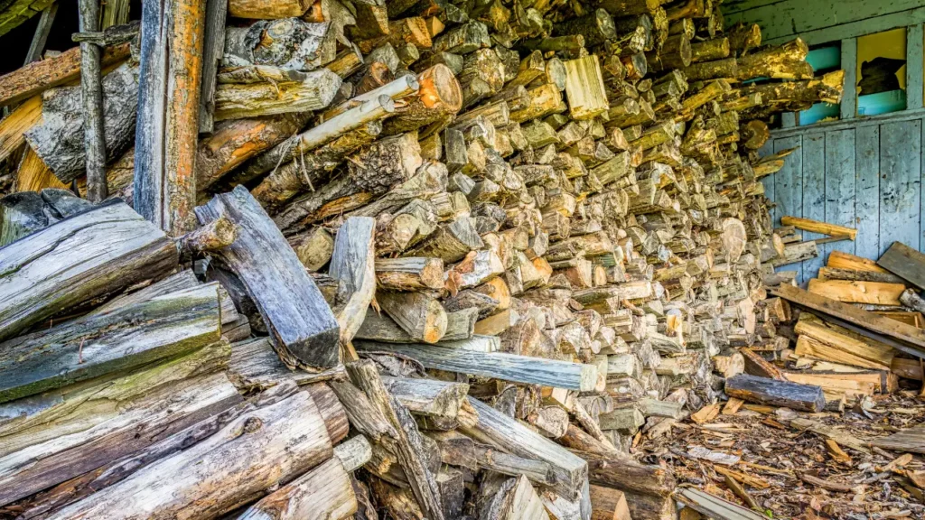 Kiln Dried Wood