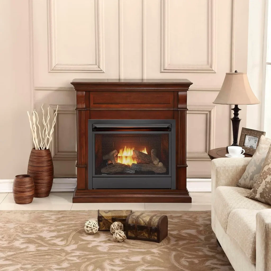 Ventless Gas Fireplace Insert