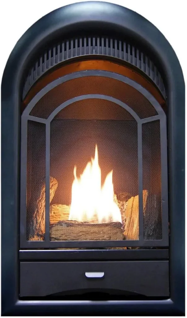 Ventless Gas Fireplace Insert
