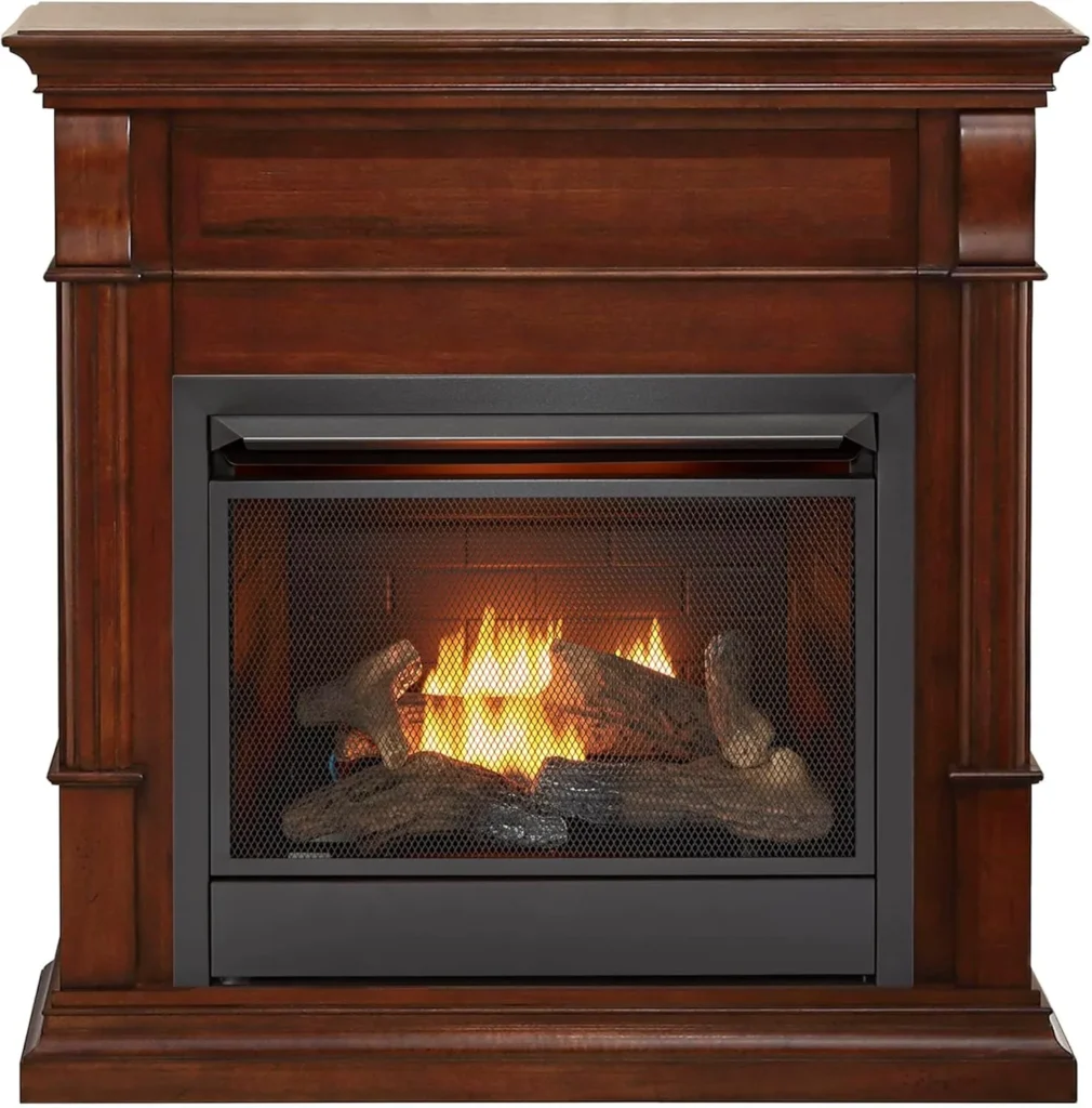 Ventless Gas Fireplace Insert